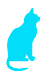 cat image